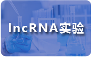 lncRNA實驗.png