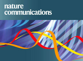 「輝駿客戶文章」Nature Communications| 中科院團(tuán)隊(duì)新成果揭示乙肝病毒與肝癌關(guān)系的新機(jī)制