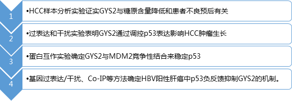 GST pulldown研究路線.png